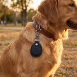 Dog wearing a brown leather collar with a black tag in an outdoor setting 